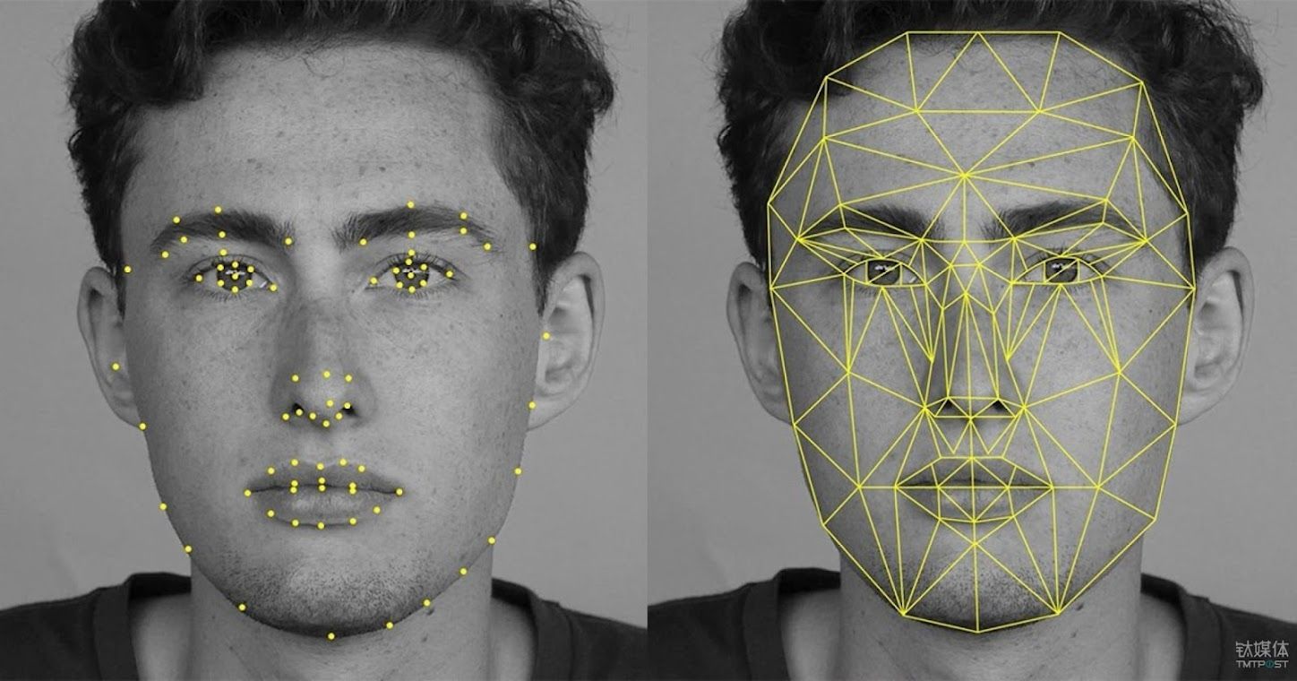 Our face recognition sdk with accurate landmark extraction