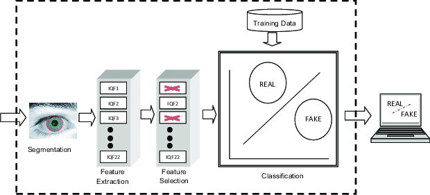 diagram of facial liveness detection in miniailive algorithm