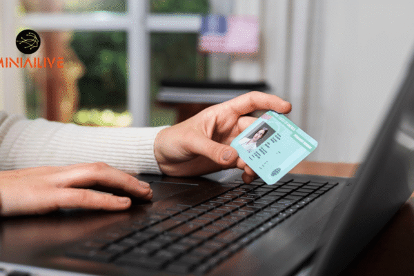 On-premise Identity Verification by miniailive SDK