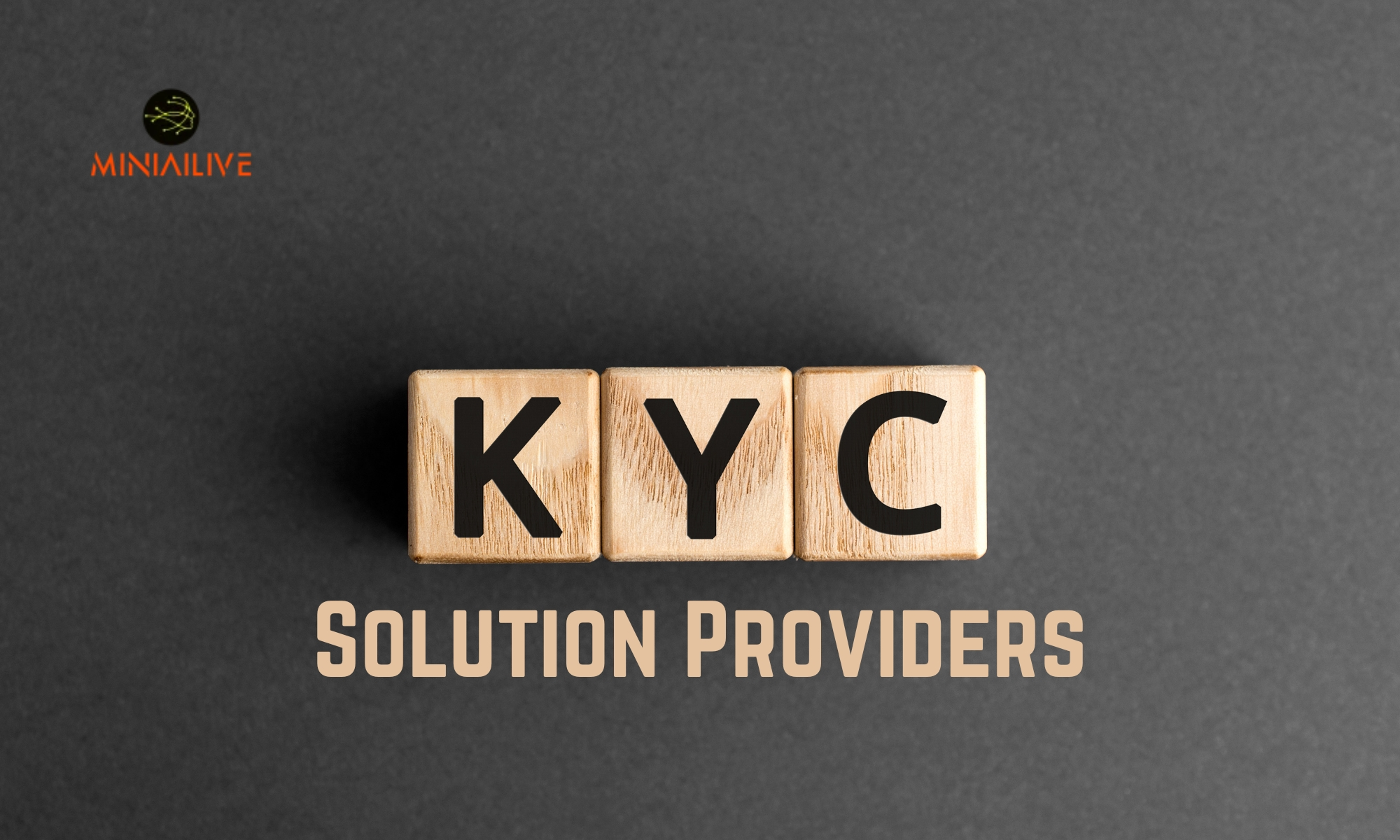 MiniAiLive KYC Solution Provider